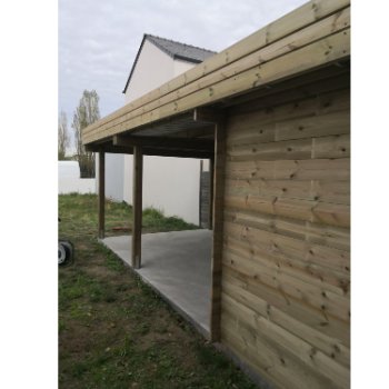 Abri de jardin en bois Toit Terrasse avec auvent